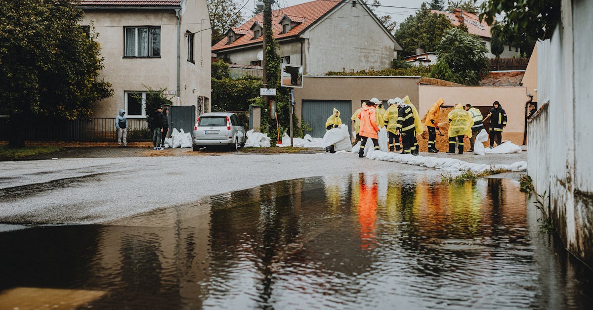 découvrez comment renforcer la résilience climatique pour mieux s'adapter aux changements environnementaux et protéger nos communautés face aux défis du climat.