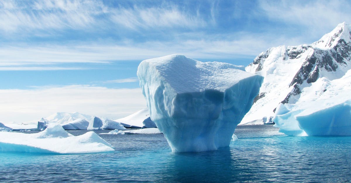 découvrez les dernières actualités et stratégies en matière de politique climatique pour un avenir durable.