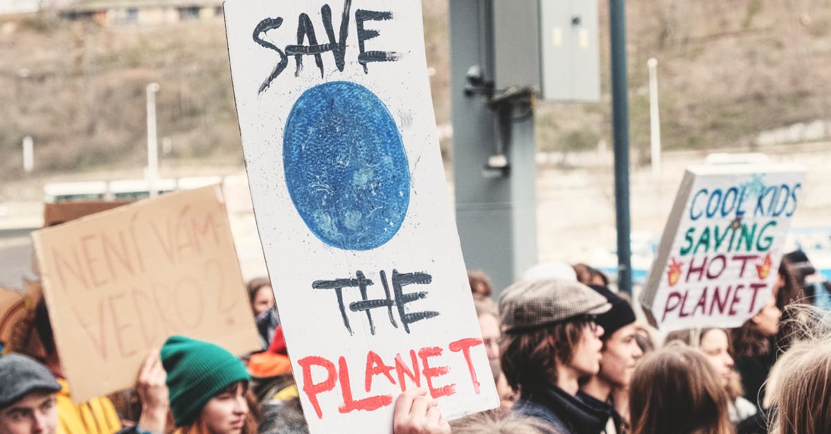 découvrez nos initiatives et conseils pour promouvoir la durabilité et protéger notre planète grâce à des pratiques écoresponsables.