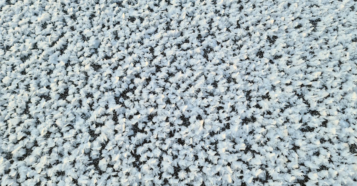 découvrez comment le design climatique façonne un avenir durable grâce à l'architecture innovante et à l'intégration des espaces verts. transformez votre environnement en harmonie avec la nature tout en répondant aux défis du changement climatique.