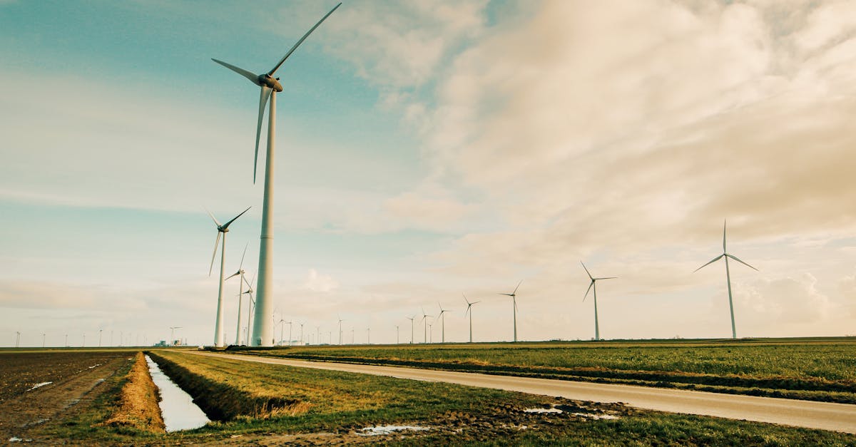 découvrez comment adopter des pratiques durables pour protéger l’environnement, optimiser les ressources et construire un avenir responsable grâce à des solutions innovantes en matière de sustainability.