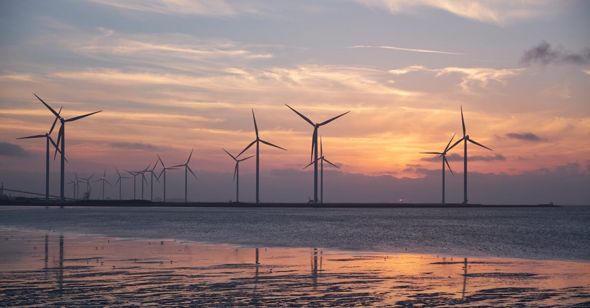 découvrez comment la durabilité influence notre quotidien et nos choix, et explorez des solutions innovantes pour un avenir plus respectueux de l’environnement.