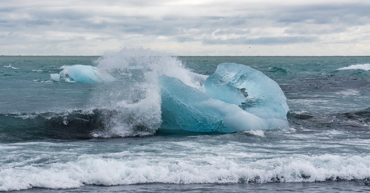 découvrez les causes, les impacts et les solutions face à la montée du niveau de la mer pour mieux comprendre les enjeux environnementaux mondiaux.