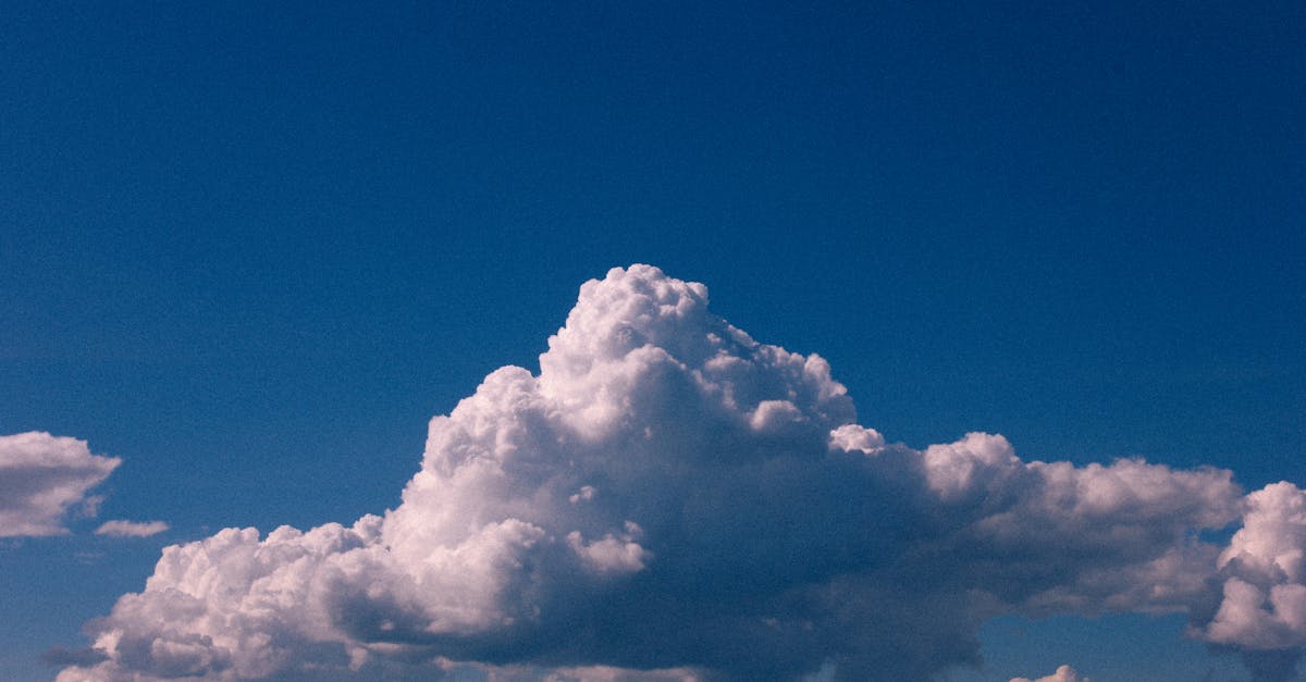 découvrez tout sur le climat : changements, impacts, solutions et actualités pour mieux comprendre notre planète et agir pour son avenir.