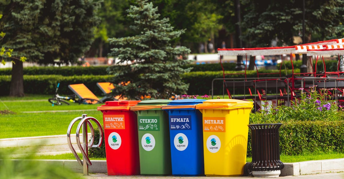 découvrez des solutions efficaces de gestion des déchets pour un environnement plus propre. apprenez comment réduire, réutiliser et recycler vos déchets tout en respectant les réglementations et en adoptant des pratiques durables.