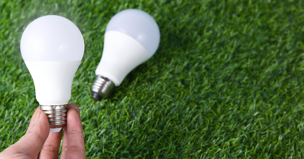 découvrez comment l'innovation écologique transforme notre avenir en alliant technologie et durabilité. explorez des solutions créatives pour protéger l'environnement tout en favorisant une croissance économique responsable.
