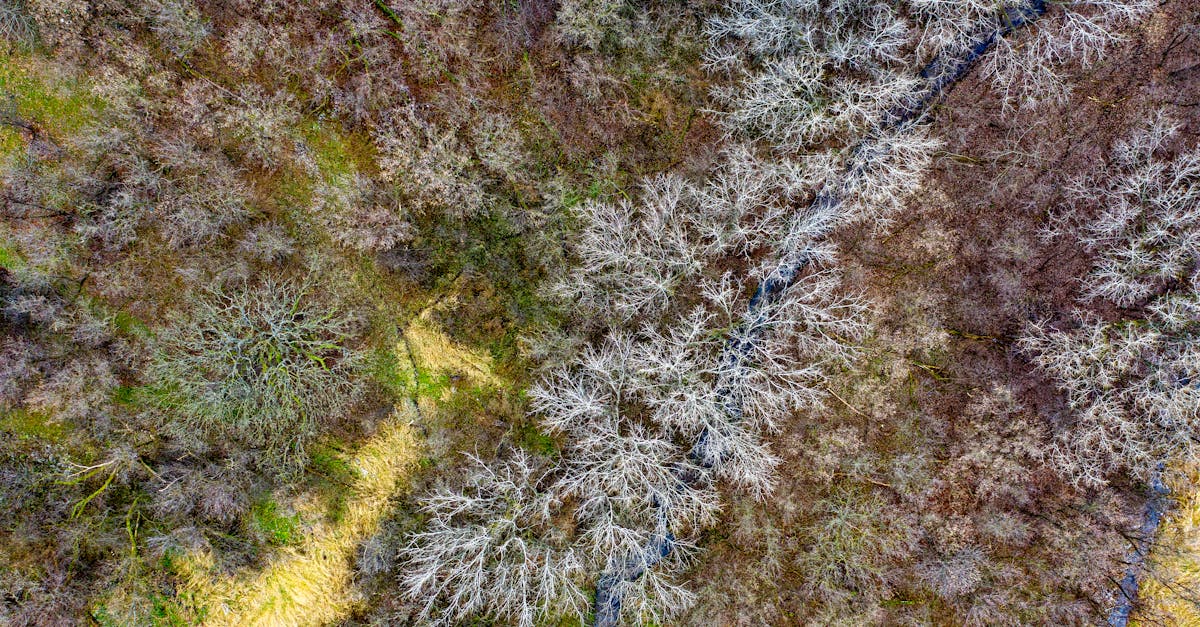découvrez les enjeux et solutions de la transition écologique pour un avenir durable et respectueux de l'environnement.