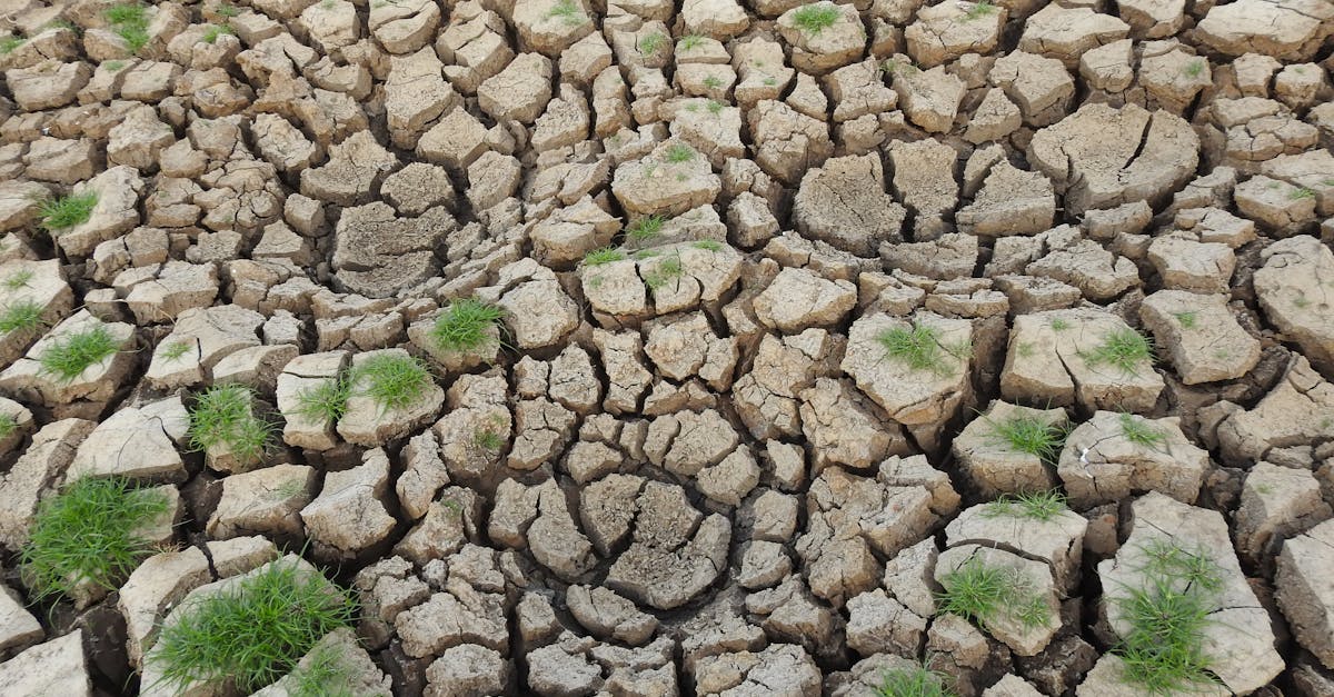 découvrez les causes, les impacts et les solutions face au changement climatique pour protéger notre planète et assurer un avenir durable.