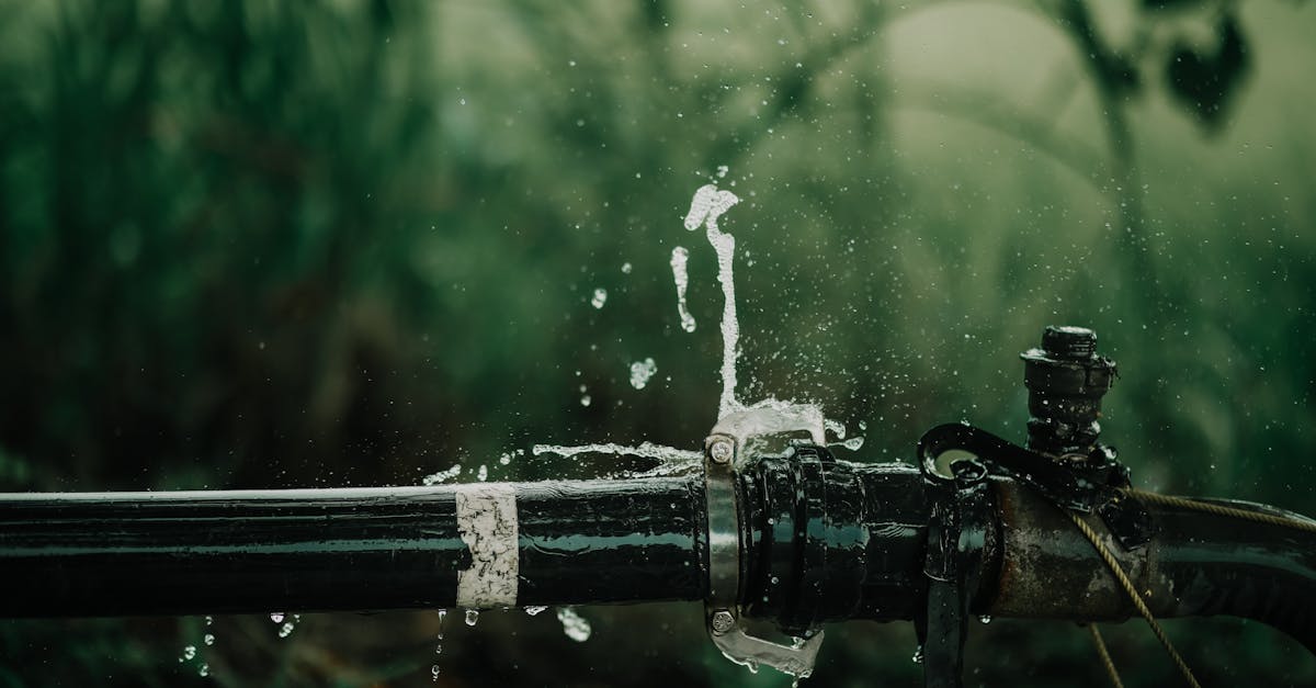 découvrez les meilleures pratiques en gestion durable des ressources, alliant préservation de l'environnement et efficacité économique. apprenez comment optimiser l'utilisation des ressources naturelles pour un avenir plus vert.