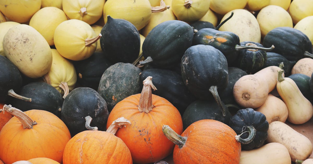 découvrez les principes d'une alimentation durable, alliant santé et respect de l'environnement. apprenez à choisir des aliments locaux, saisonniers et équilibrés pour un mode de vie éco-responsable tout en préservant votre bien-être.