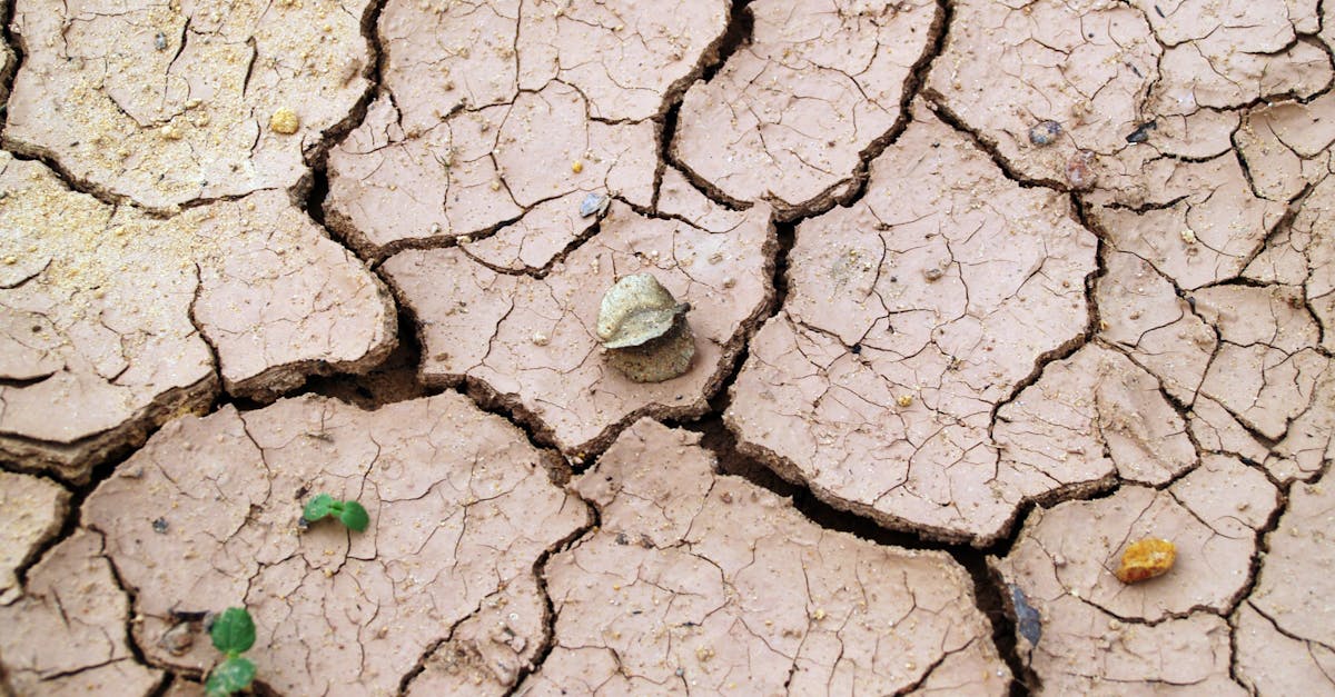 découvrez les causes, les impacts et les solutions face à la sécheresse. apprenez comment la sécheresse affecte l’environnement, l’agriculture et la société, et quelles stratégies adopter pour y faire face.