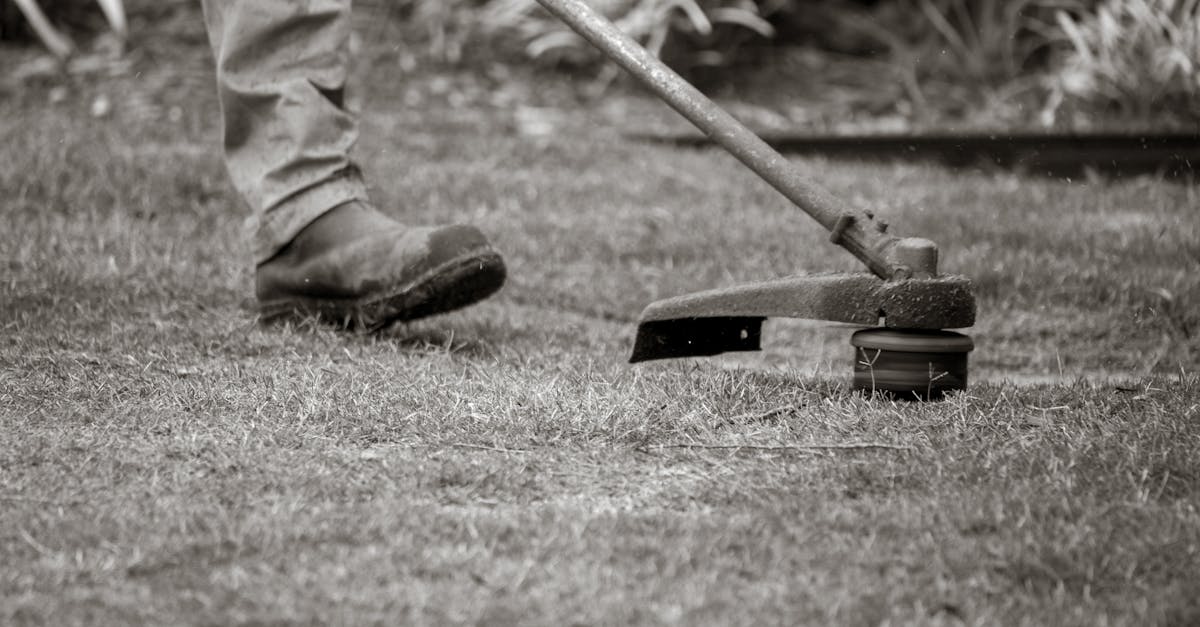 services professionnels d'entretien de pelouse pour un jardin verdoyant et en bonne santé toute l'année.