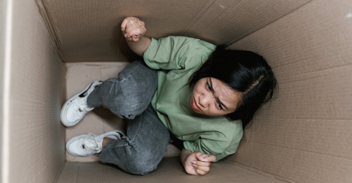 découvrez comment développer la résilience émotionnelle pour mieux gérer le stress, surmonter les obstacles et renforcer votre bien-être mental au quotidien.