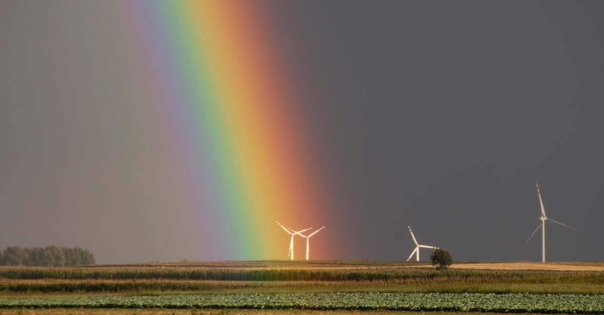 découvrez comment agir pour le climat et soutenir des initiatives durables. rejoignez le mouvement pour une planète plus verte et apprenez des stratégies efficaces pour réduire votre empreinte carbone.