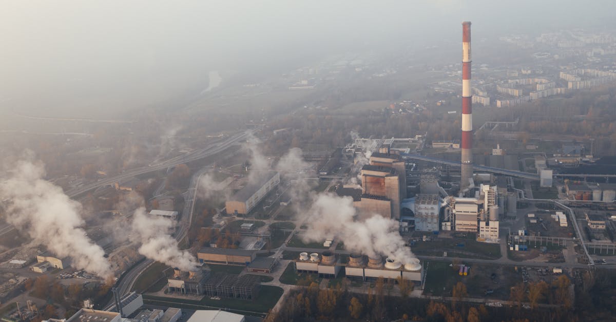 découvrez les principaux défis environnementaux actuels, leurs impacts sur la planète et les solutions pour un avenir durable.