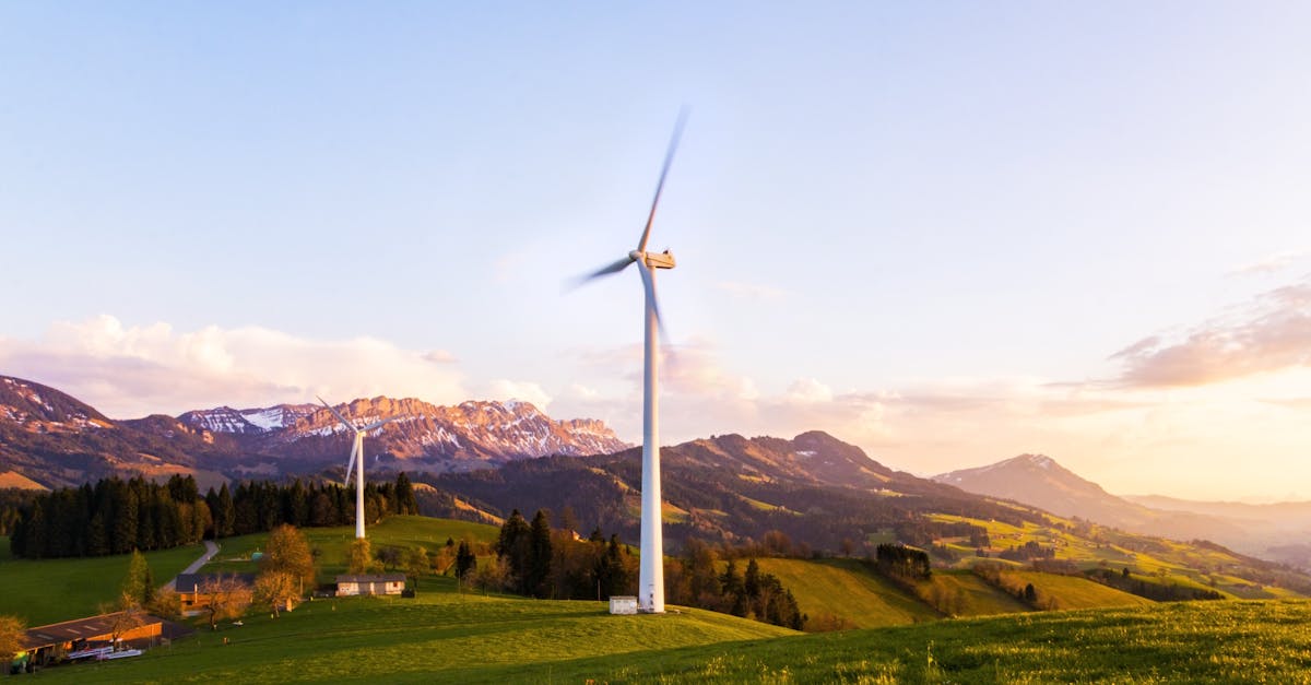 découvrez tout ce qu'il faut savoir sur la durabilité : enjeux, solutions et bonnes pratiques pour un avenir plus respectueux de l'environnement.