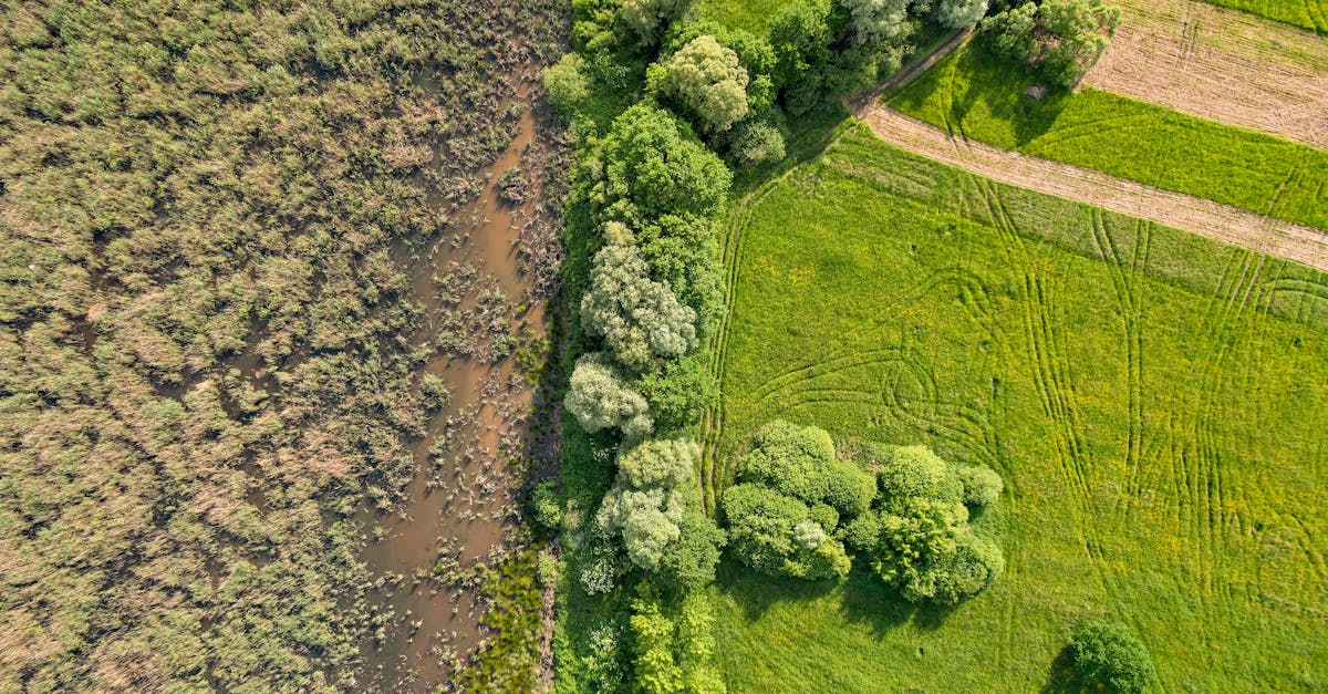agence dédiée à la transition écologique, accompagnant les entreprises et collectivités vers des pratiques durables et responsables pour un avenir respectueux de l'environnement.
