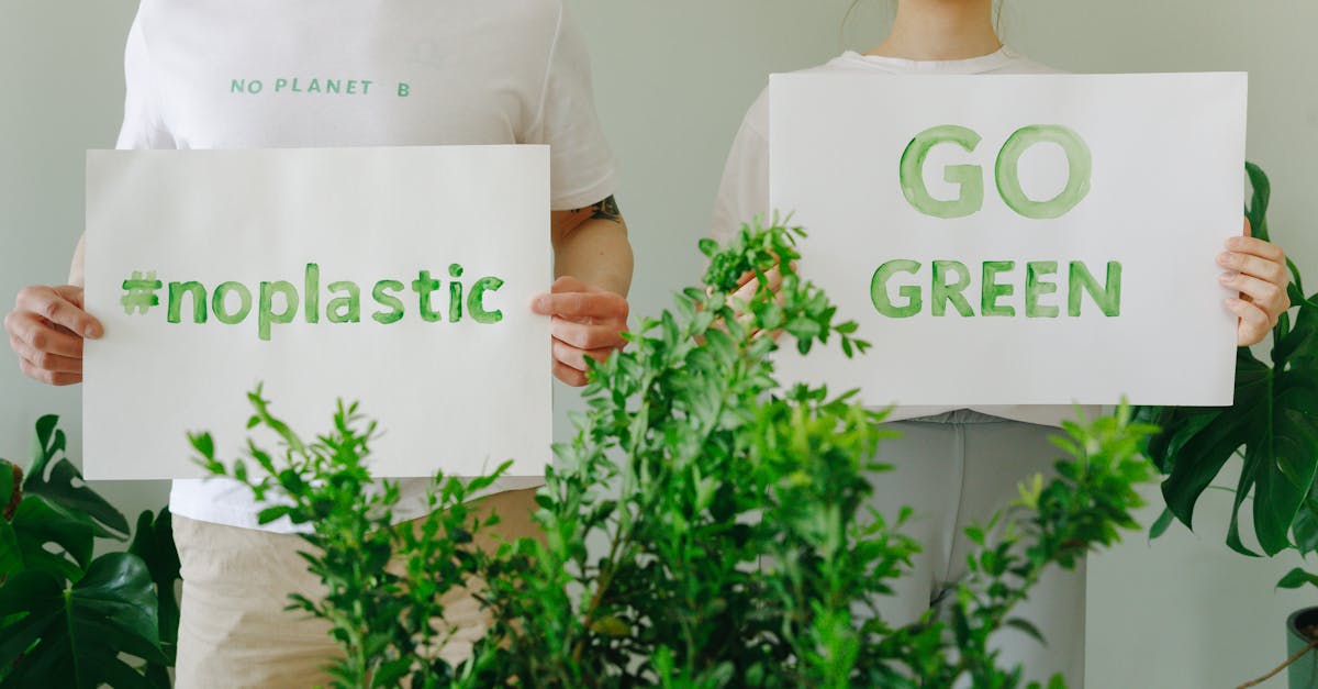 sensibilisation à l'environnement : comprendre l'importance de protéger la nature et adopter des pratiques durables pour un avenir meilleur.