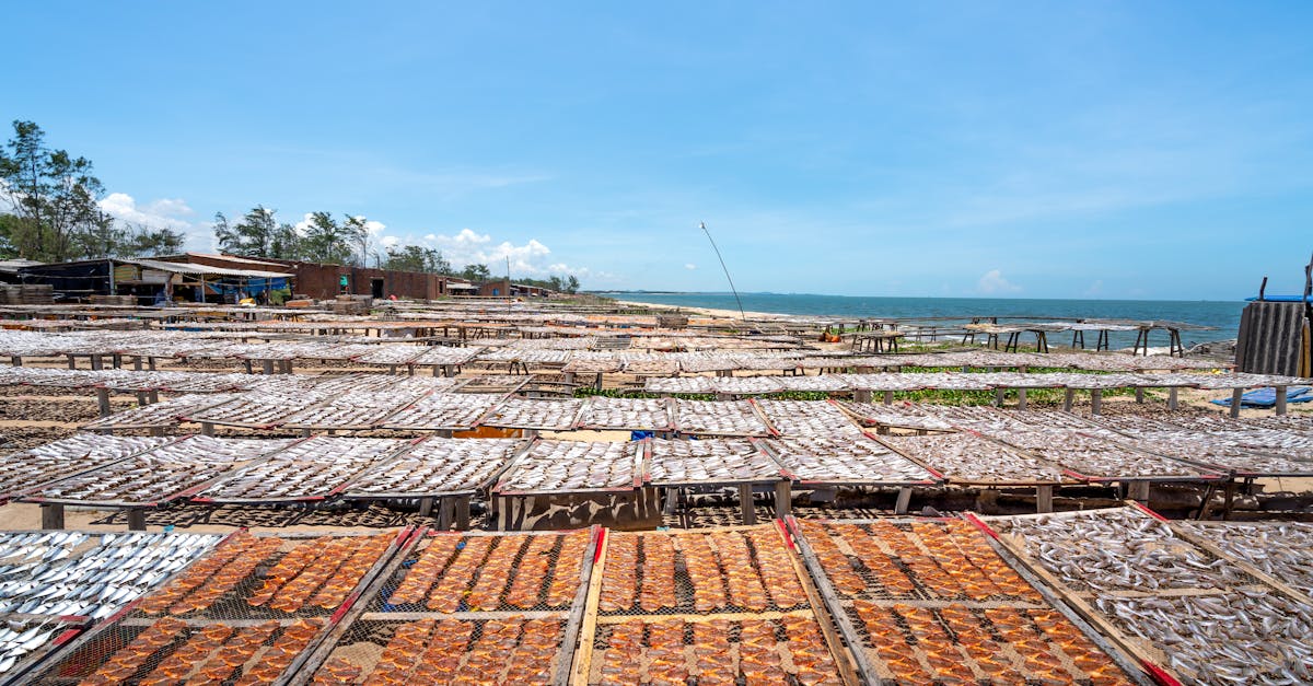 découvrez comment la coopération climatique entre pays et organisations peut aider à lutter contre le changement climatique grâce à des actions collectives et durables.