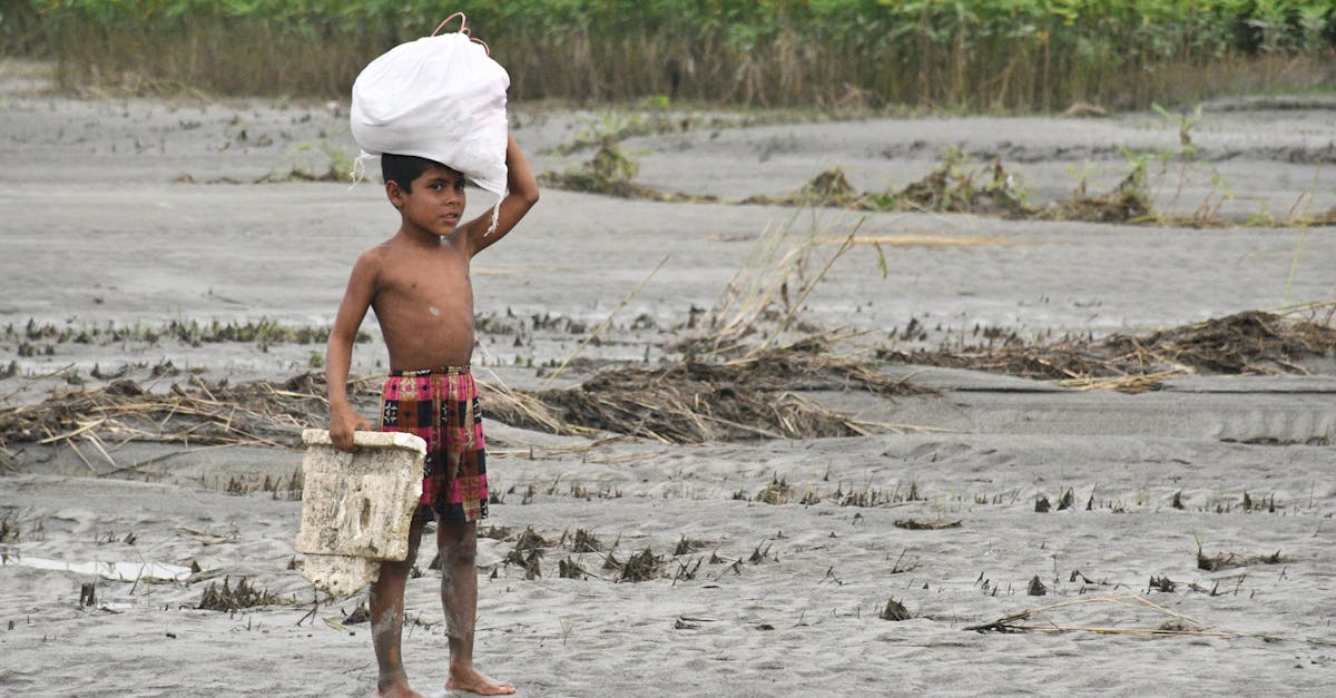 découvrez tout sur el niño, ce phénomène climatique mondial qui influence les conditions météorologiques, les océans et les écosystèmes.