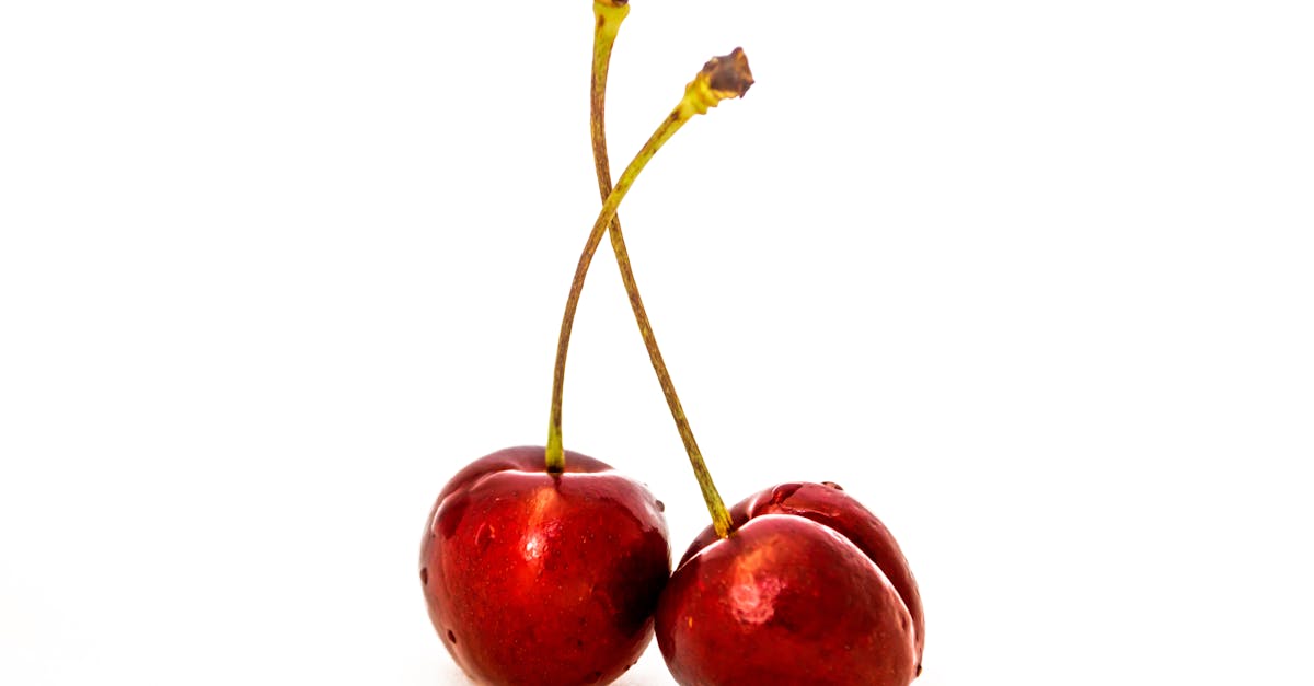 découvrez les principes d'une alimentation durable, alliant santé, respect de l'environnement et préservation des ressources. apprenez à choisir des aliments qui soutiennent votre bien-être tout en protégeant notre planète.