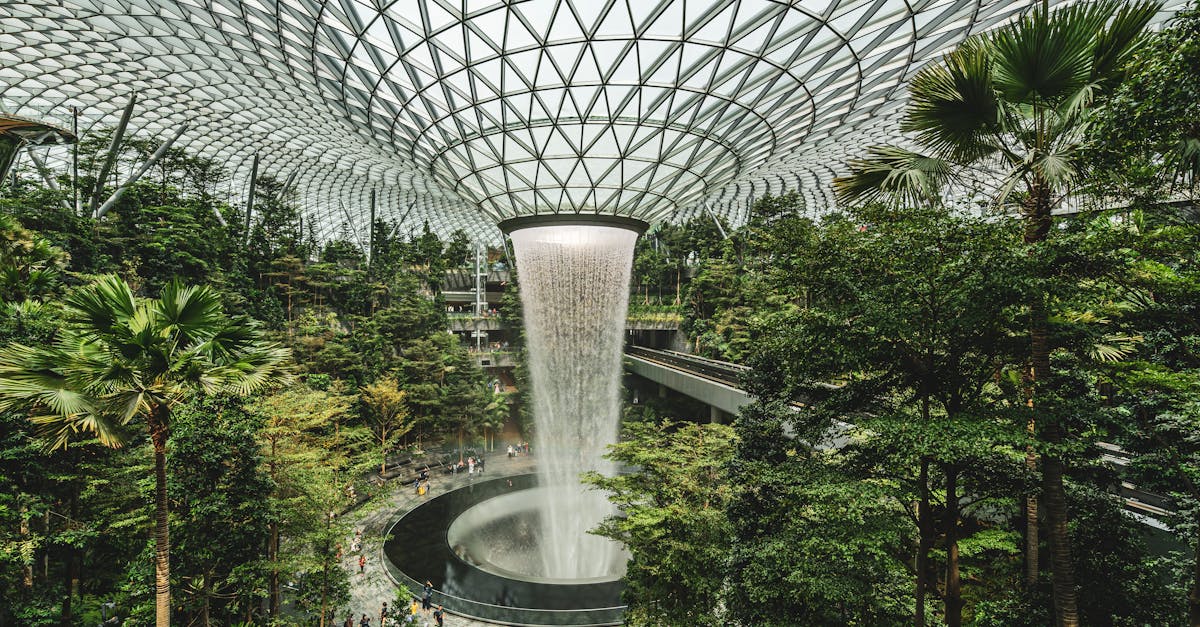 découvrez les innovations et les stratégies de l'aviation durable, visant à réduire l'empreinte carbone et à promouvoir des pratiques écologiques dans l'industrie aéronautique.