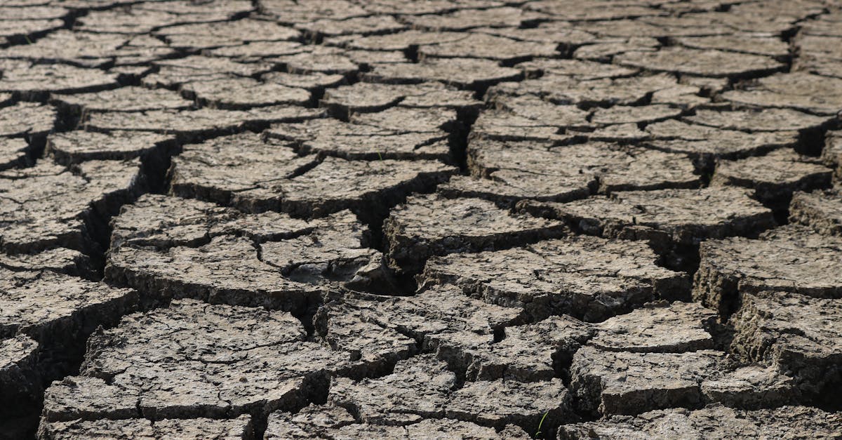 découvrez les causes, les impacts et les solutions du changement climatique pour agir en faveur de la planète et un avenir durable.