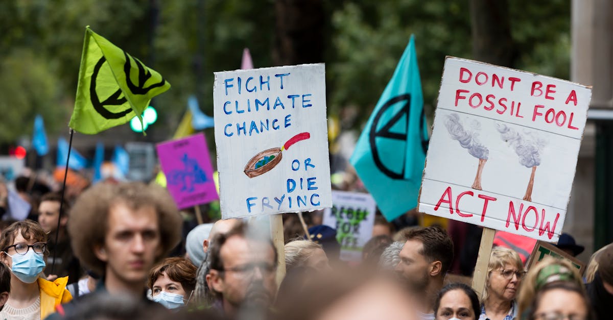 découvrez les causes, impacts et solutions du changement climatique pour mieux comprendre et agir face à ce défi mondial.