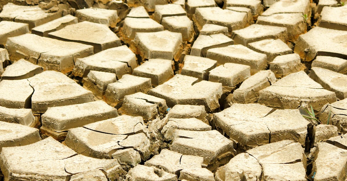 découvrez les causes, impacts et solutions du changement climatique pour protéger notre planète et assurer un avenir durable.