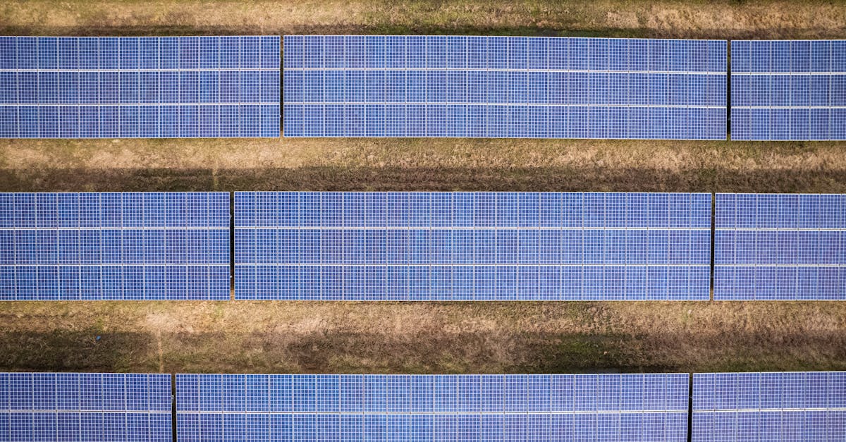 découvrez les principes du développement durable et comment adopter des pratiques respectueuses de l'environnement pour un avenir meilleur.