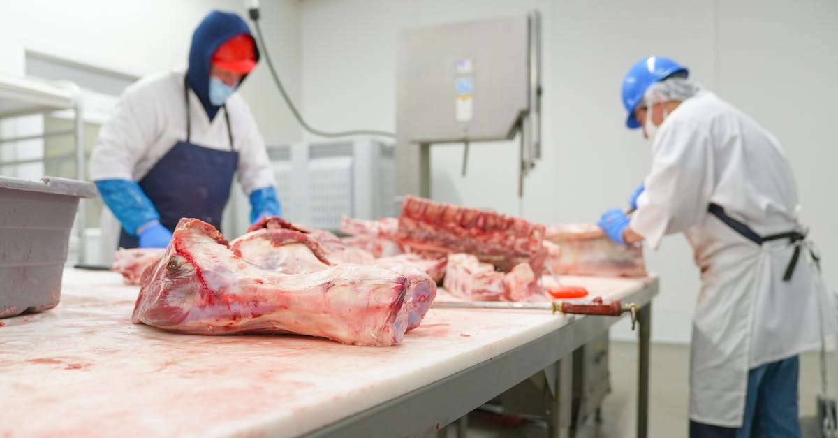 découvrez l'influence et les stratégies de lobbying de l'industrie de la viande auprès des décideurs politiques et économiques.