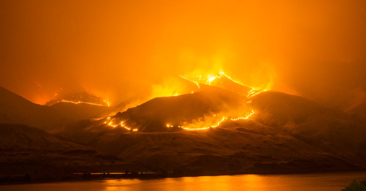 découvrez tout sur les incendies de forêt : causes, impacts environnementaux, prévention et stratégies de lutte. informez-vous sur les mesures essentielles pour protéger notre planète face à ce fléau.