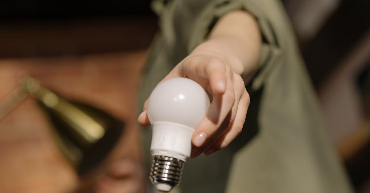découvrez comment l'innovation durable transforme les industries en alliant écologie et performance économique. explorez des solutions novatrices qui préservent la planète tout en stimulant la croissance.