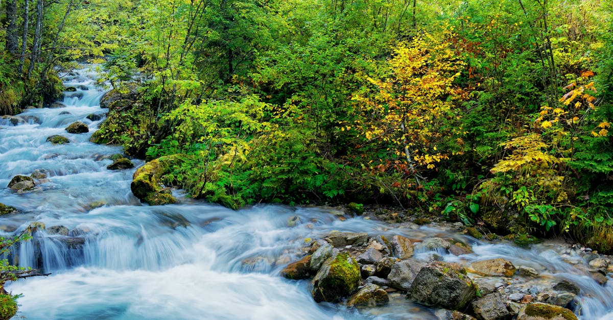 découvrez les enjeux et solutions liés à l'environnement pour préserver notre planète et promouvoir un avenir durable.