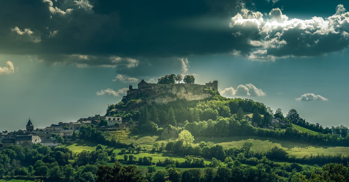 découvrez la beauté des forêts françaises, leurs paysages variés, leur biodiversité exceptionnelle et les meilleures activités à y pratiquer tout au long de l'année.