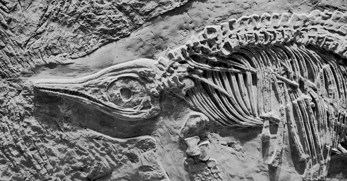 découvrez les causes et les conséquences de l'extinction des espèces, ainsi que les actions nécessaires pour préserver la biodiversité.