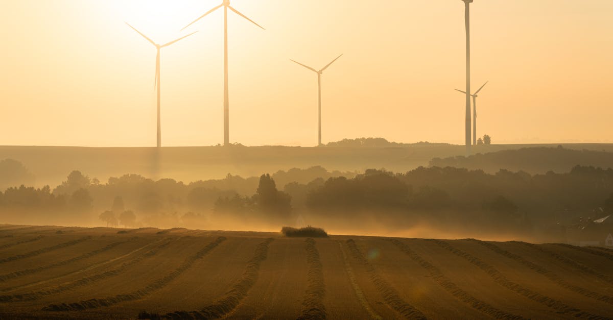 découvrez les causes, impacts et solutions du réchauffement climatique en europe pour mieux comprendre les enjeux environnementaux du continent.