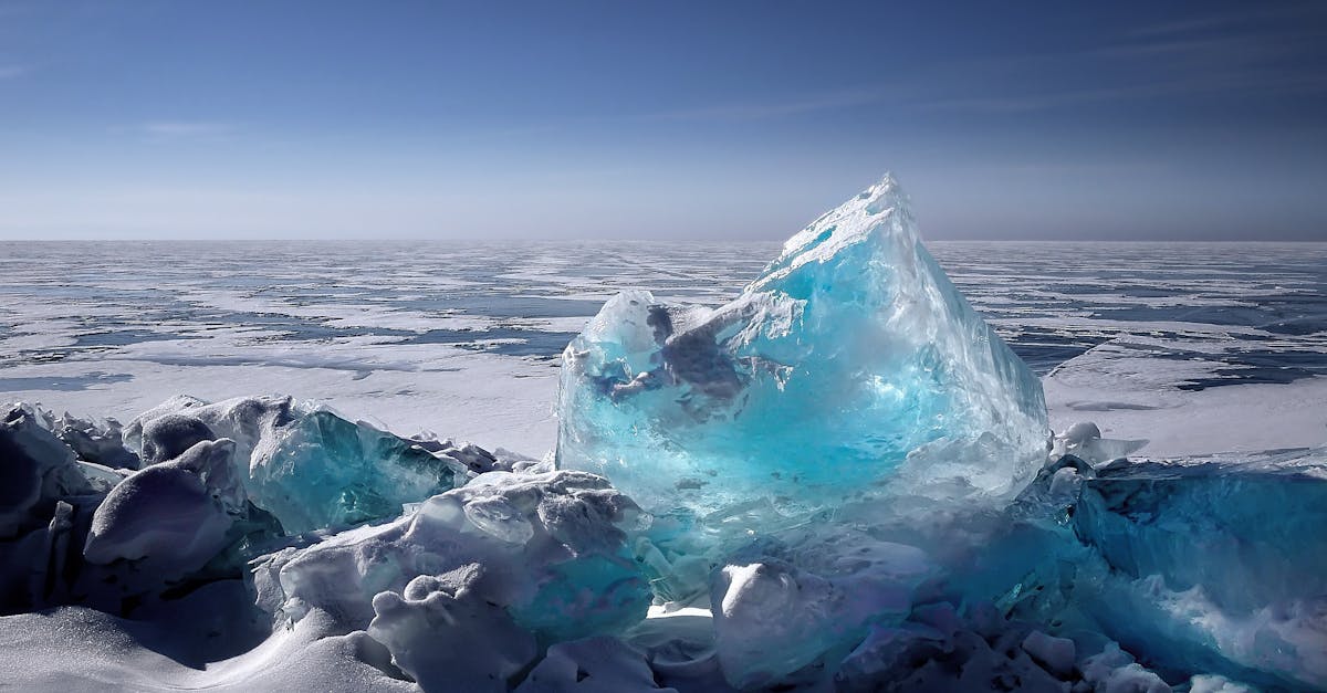 découvrez les enjeux du changement climatique, ses impacts sur notre planète et les actions nécessaires pour préserver notre environnement pour les générations futures.