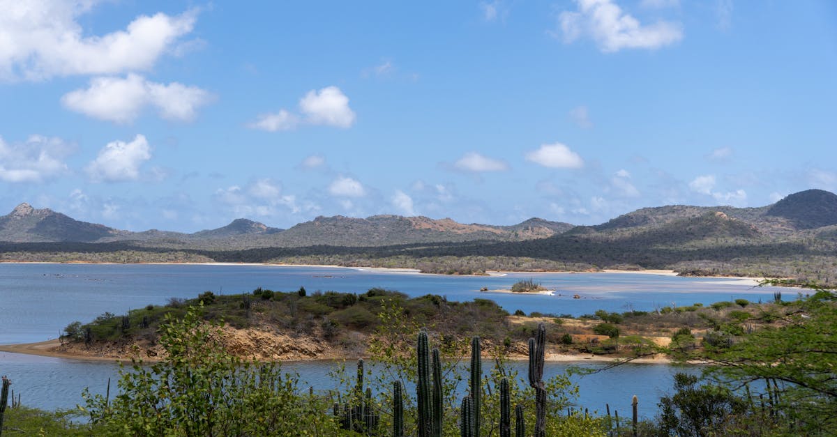 découvrez tout ce que vous devez savoir sur les résidents de bonaire : mode de vie, culture locale, conseils pratiques et actualités pour vivre pleinement sur cette île des caraïbes.