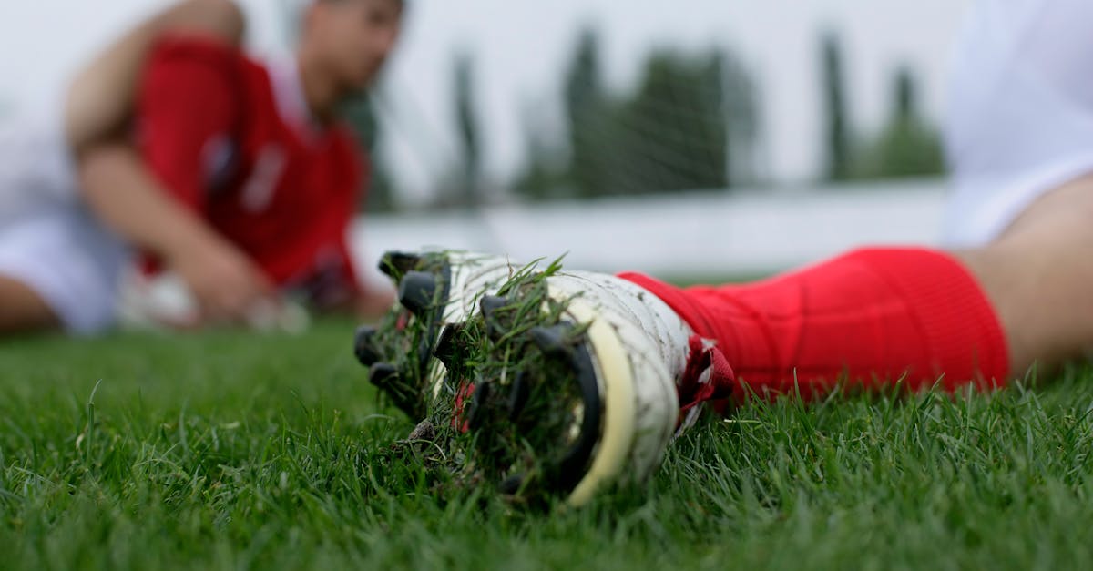 découvrez les enjeux et les conséquences de la violence dans le sport, ainsi que les mesures pour prévenir et gérer ce phénomène.