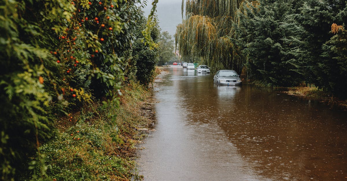 découvrez l'impact du changement climatique sur notre planète, ses conséquences environnementales, sociales et économiques, et les solutions pour préserver notre avenir.