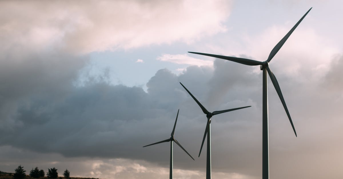 découvrez nos initiatives et conseils pour adopter des pratiques durables et protéger l'environnement grâce à des solutions respectueuses de la planète.