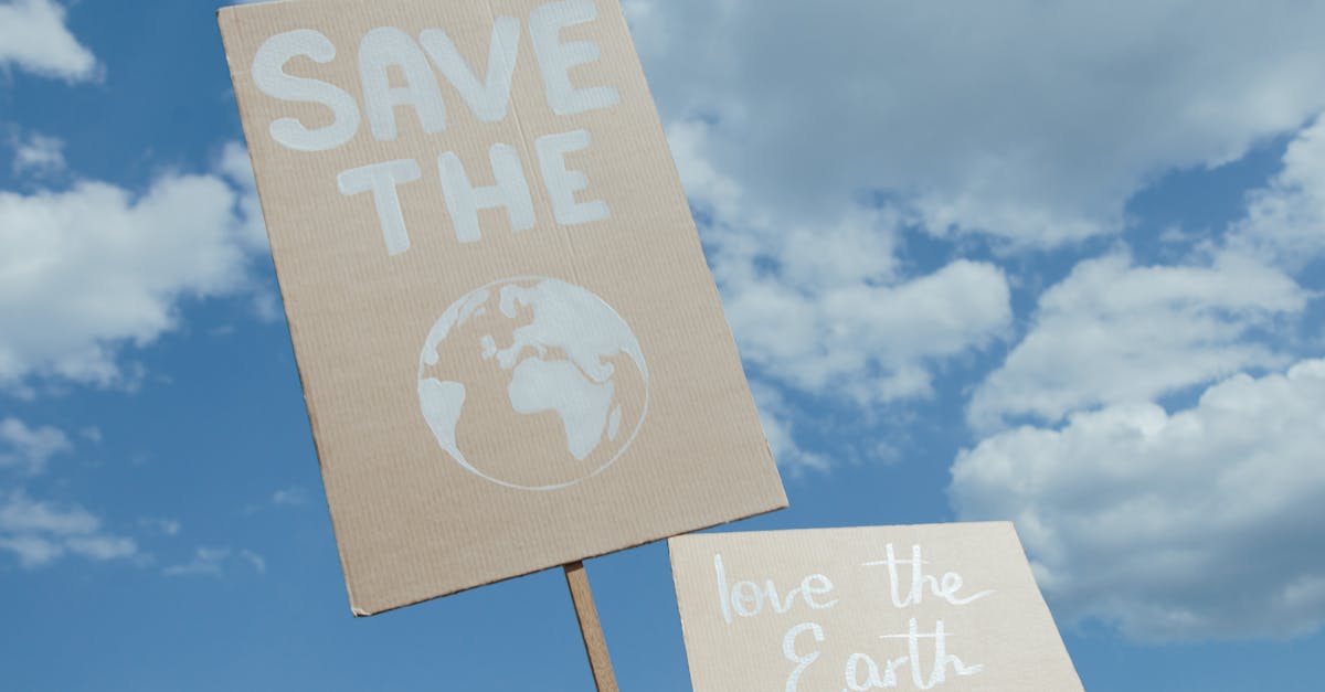 découvrez nos initiatives et conseils pour adopter des pratiques durables et protéger l'environnement pour un avenir responsable.