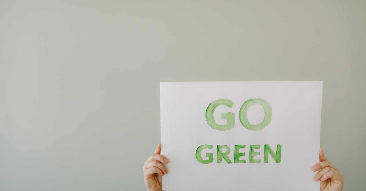 découvrez ce qu'est le greenwashing, ses techniques et comment identifier les pratiques marketing trompeuses prétendant être écologiques.