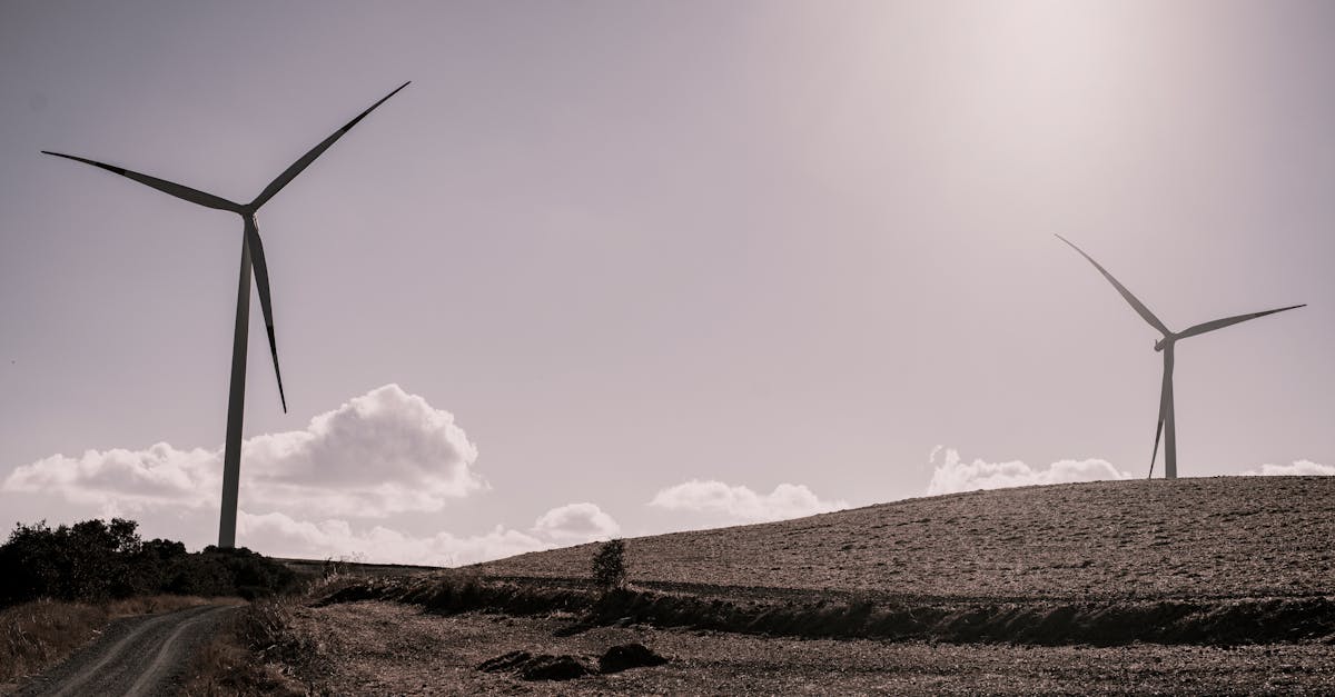 découvrez les enjeux et solutions de la transition énergétique pour un avenir durable et respectueux de l'environnement.