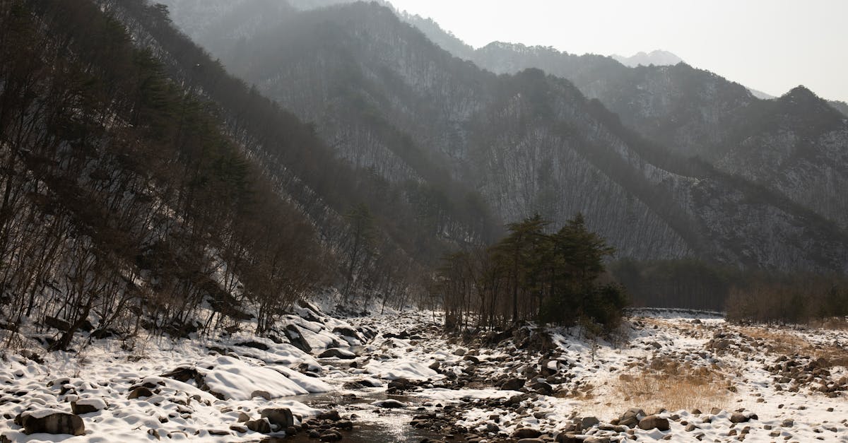 découvrez l'urgence climatique et ses impacts sur notre planète. informez-vous sur les enjeux écologiques majeurs, les solutions durables et l'importance d'agir rapidement pour préserver notre environnement pour les générations futures.