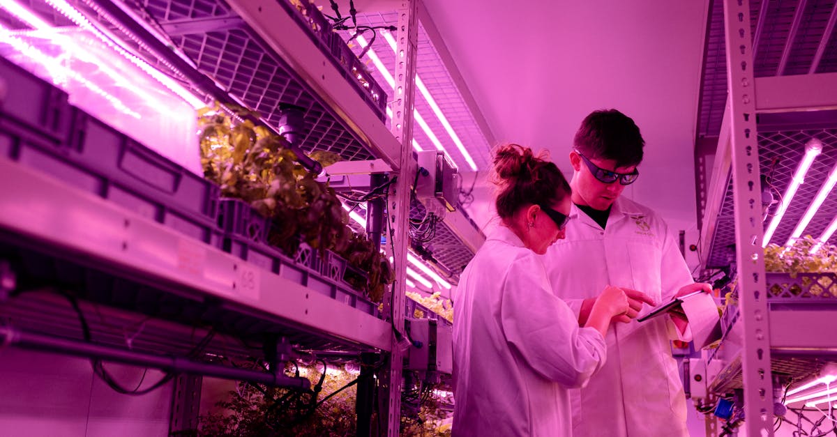 découvrez les principes de l'agriculture durable pour préserver les ressources naturelles, favoriser la biodiversité et garantir une production alimentaire responsable et respectueuse de l'environnement.