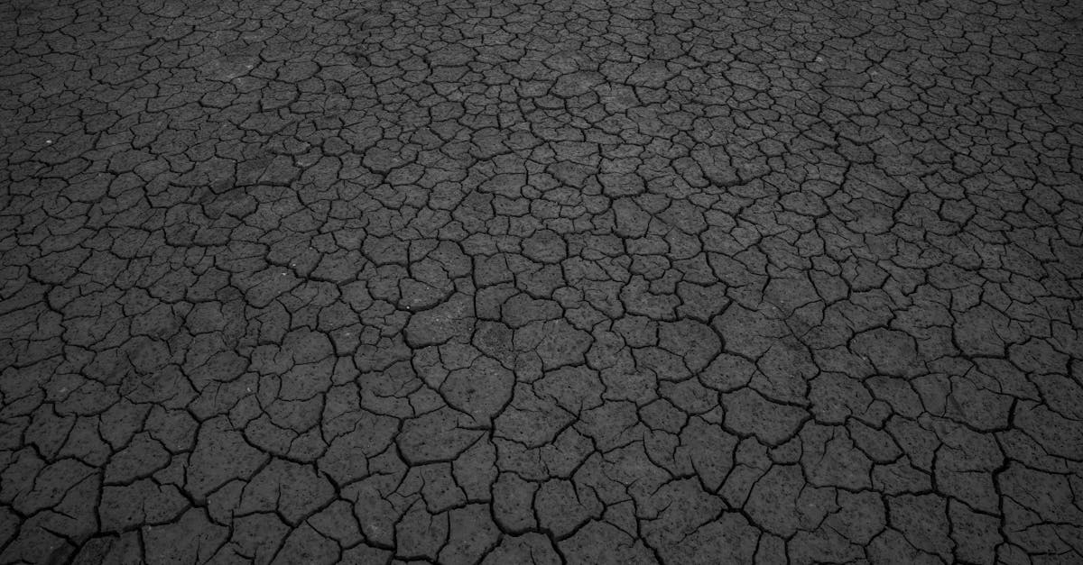 découvrez les causes, impacts et solutions pour lutter contre la dégradation des sols et préserver la fertilité de la terre.