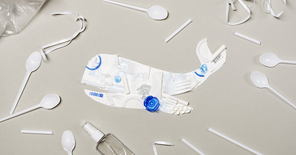 découvrez des solutions et conseils pour adopter un mode de vie sans plastique et réduire votre impact environnemental.