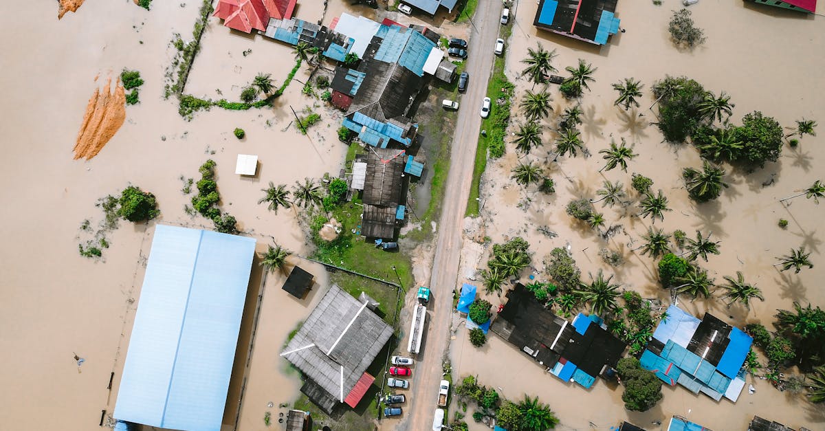 découvrez les causes, impacts et solutions du changement climatique pour protéger notre planète et assurer un avenir durable.